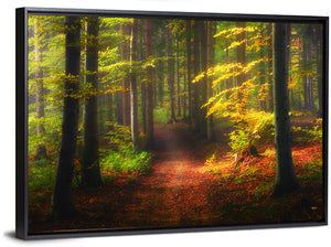 Autumn Forest Pathway Wall Art