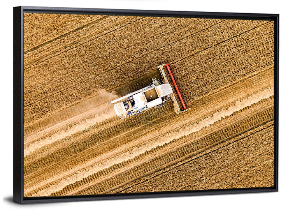 Aerial Combine Over Wheat Field Wall Art