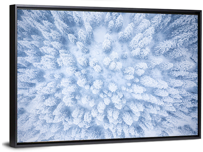 Snow-dusted Evergreen Canopy Wall Art as a framed canvas