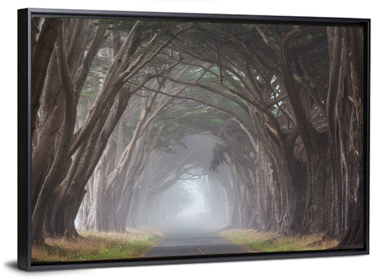 Misty Trees Alley Wall Art