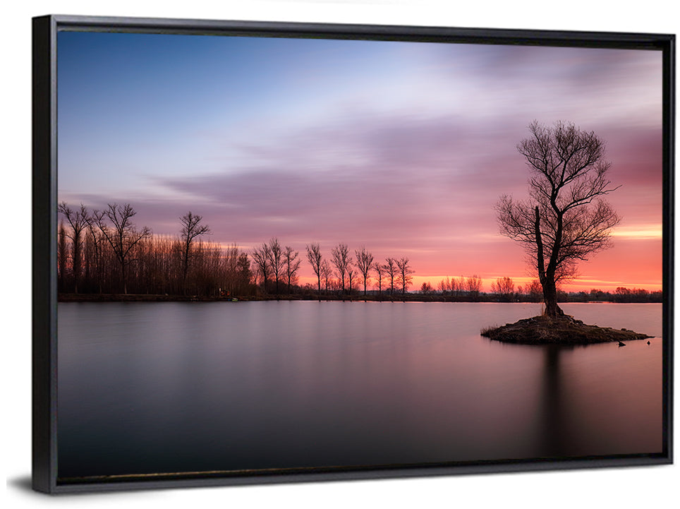 Solitary Island Tree at Sunset Wall Art