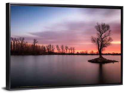 Solitary Island Tree at Sunset Wall Art