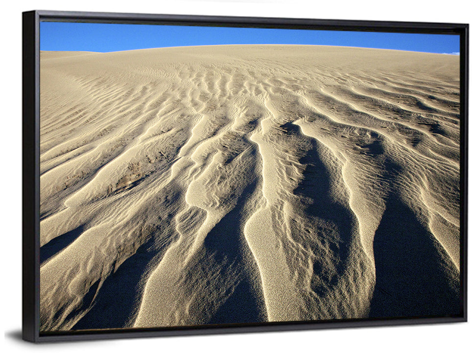 Endless Rippled Sand Dunes Wall Art