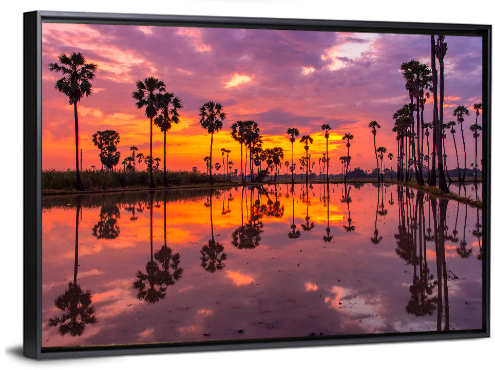 Palm Trees Sunset Reflection Wall Art