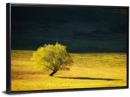 Lone Tree in Golden Meadow Wall Art