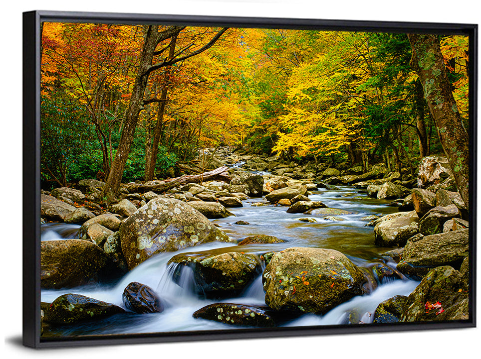 Autumn Stream Through Forest Wall Art