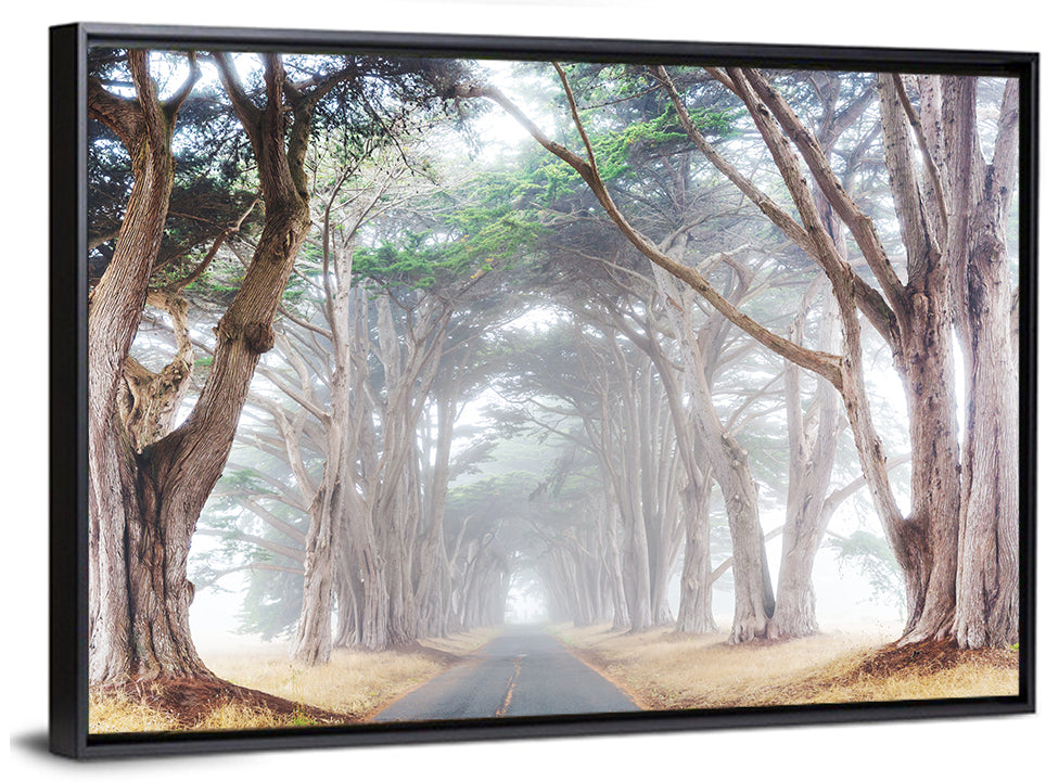 Misty Morning Alleyway Wall Art