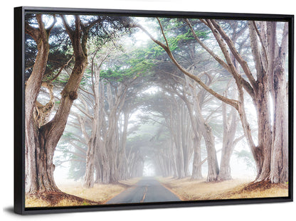 Misty Morning Alleyway Wall Art