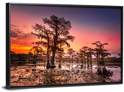 Caddo Lake Cypress Sunset Wall Art