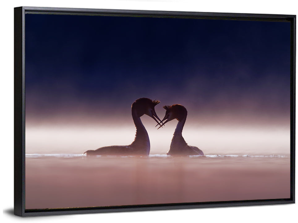 Crested Grebes in Morning Mist Wall Art