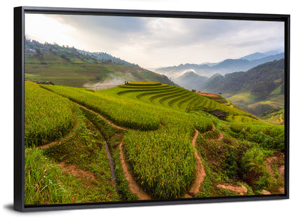 Terraced Rice Paddies Wall Art