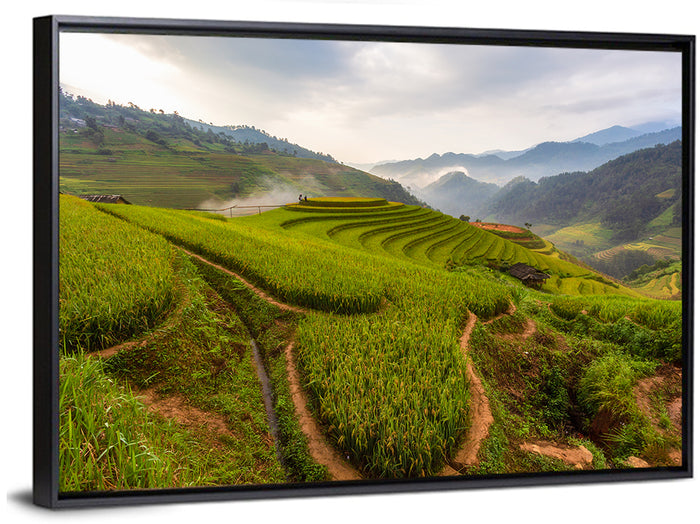 Terraced Rice Paddies Wall Art as a framed canvas