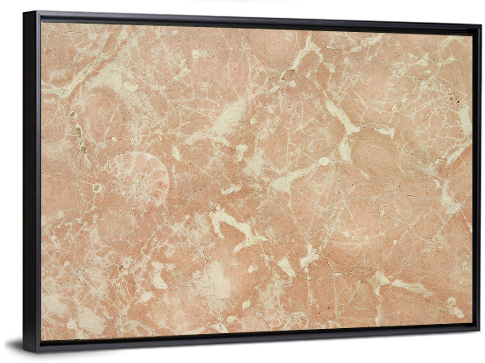 Fossil Veins Marble Study Wall Art
