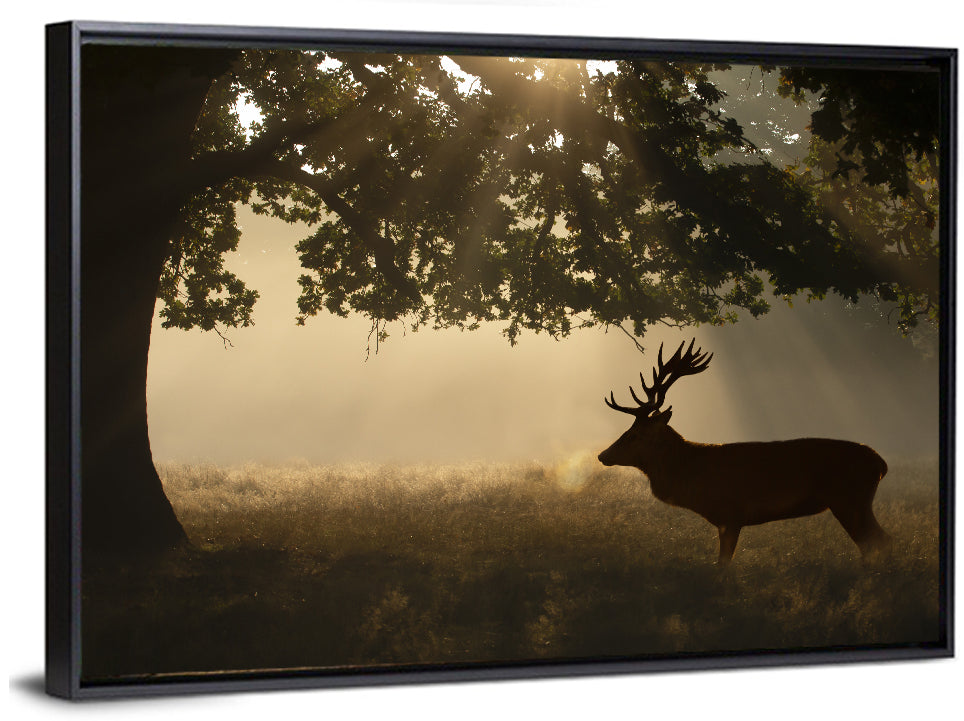 Misty Stag Silhouette Wall Art