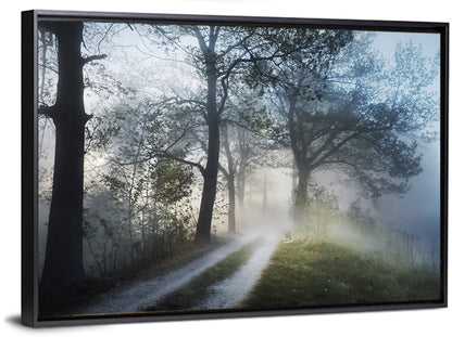 Foggy Forest Path Wall Art