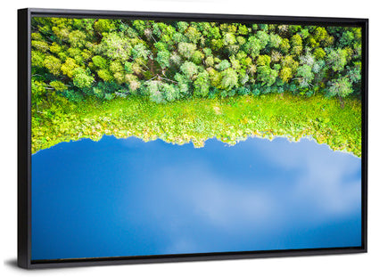 Aerial Blue Lake Over Woodland Wall Art