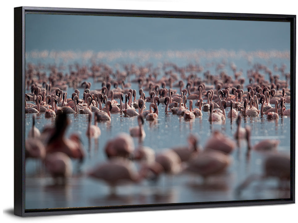 Flamingos at Lake Bagoria Wall Art