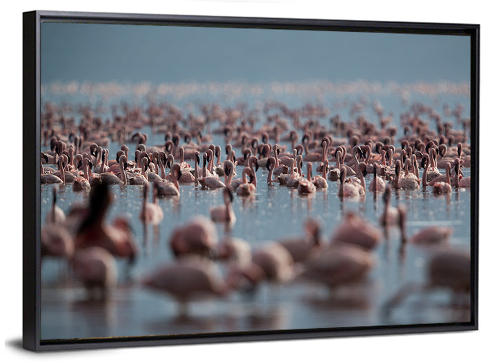 Flamingos at Lake Bagoria Wall Art as a framed canvas