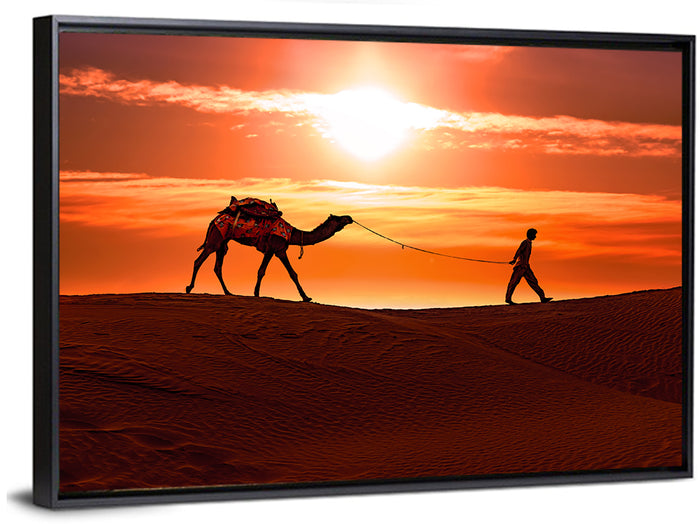 Man Leading Camel at Dusk Wall Art as a framed canvas