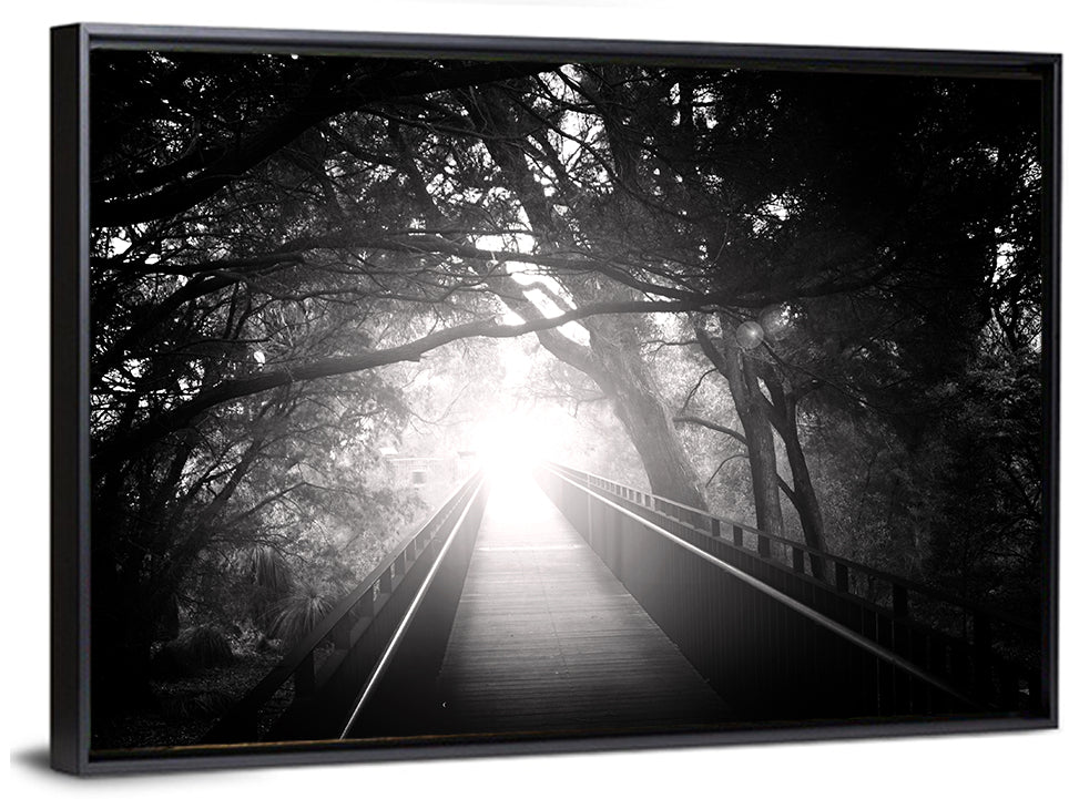 Foggy Forest Bridge Wall Art