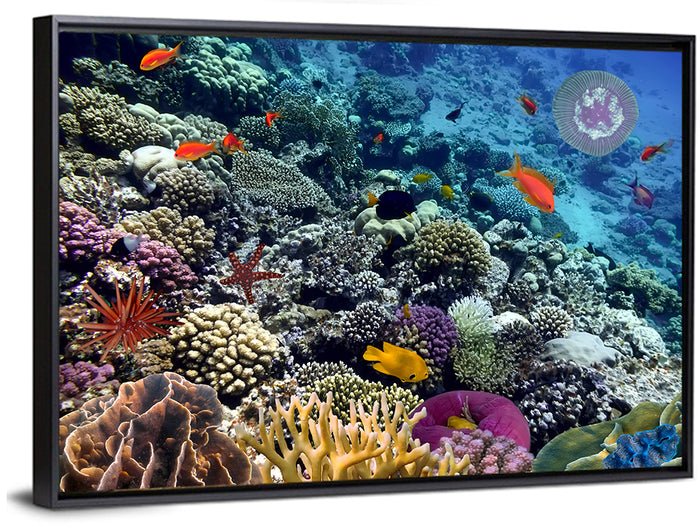 Vibrant Coral Reef Scene Wall Art as a framed canvas