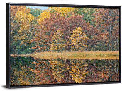 Douglas Lake Autumn Reflection Wall Art