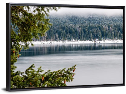 Lake Kachess Foggy Shore Wall Art