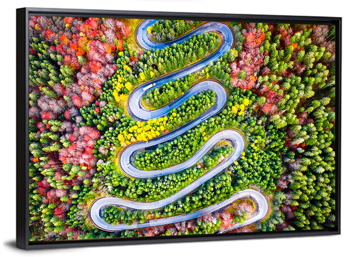 Cheia Autumn Winding Road Wall Art as a framed canvas
