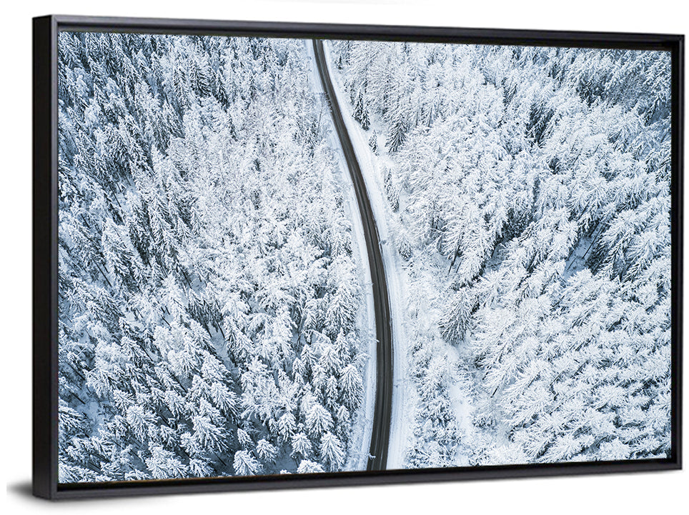 Winding Snow-covered Forest Road Wall Art