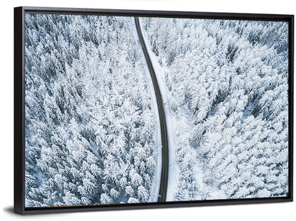 Winding Snow-covered Forest Road Wall Art