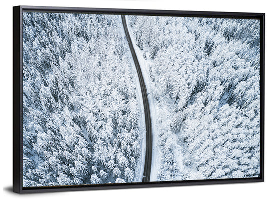 Winding Snow-covered Forest Road Wall Art