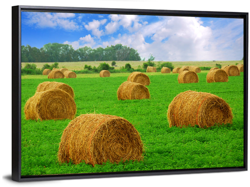 Golden Hay Bales in Green Field Wall Art