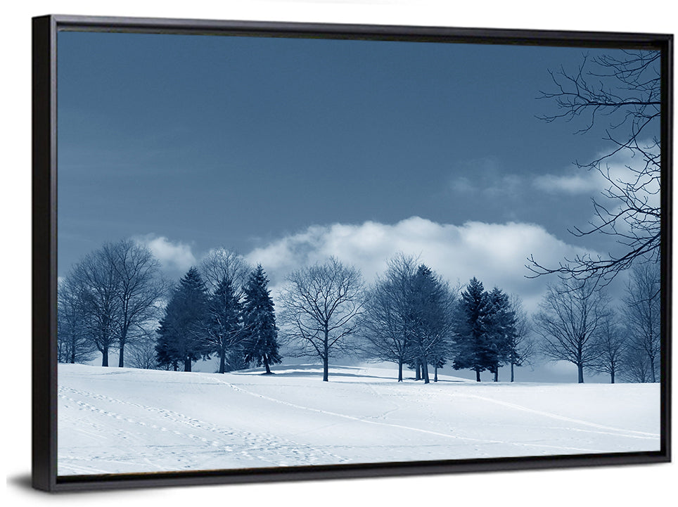 Snowy Winter Land Wall Art