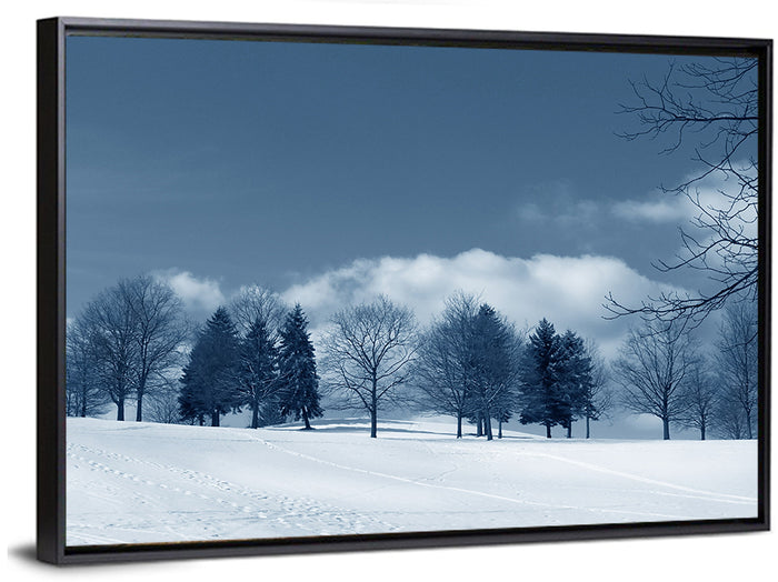 Snowy Field with Tracks Wall Art as a framed canvas