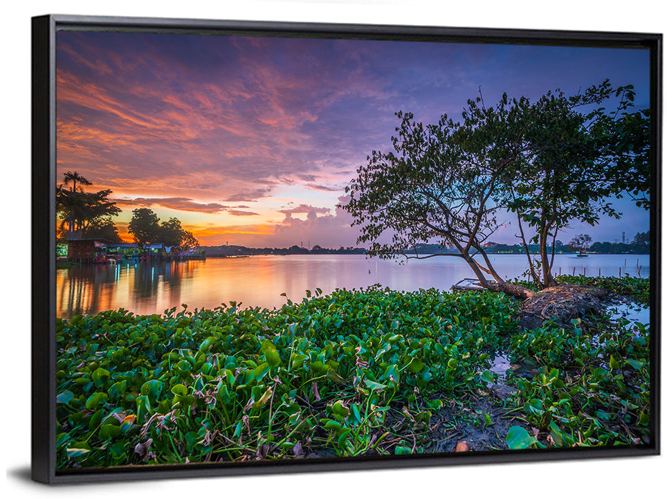 Cipondoh Lake Hyacinth Sunset Wall Art
