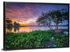 Cipondoh Lake Hyacinth Sunset Wall Art