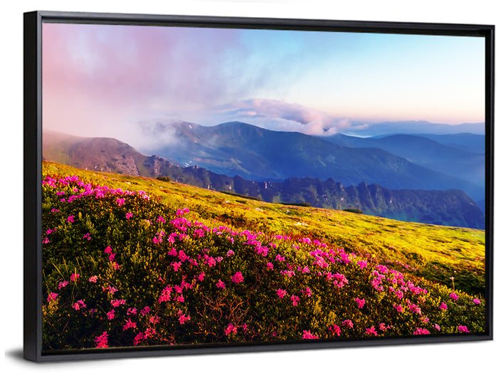 Alpine Rhododendron Meadow at Golden Hour Wall Art as a framed canvas