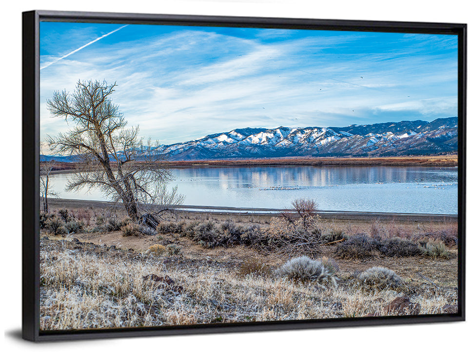 Winter Washoe Lake Morning Wall Art
