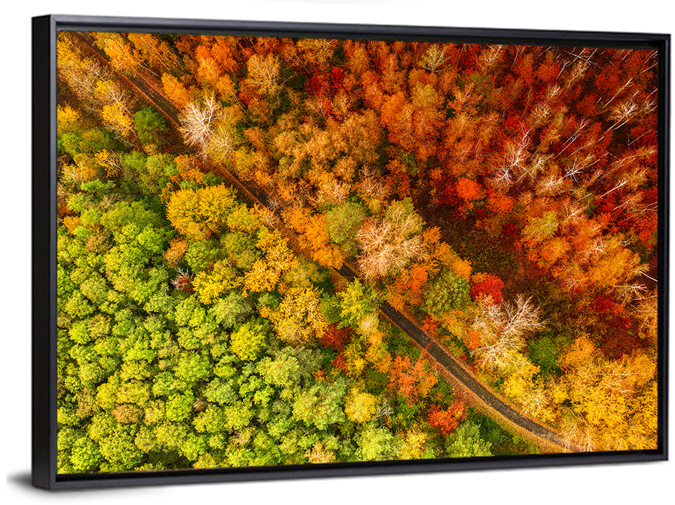 Winding Road Through Autumn Forest Wall Art