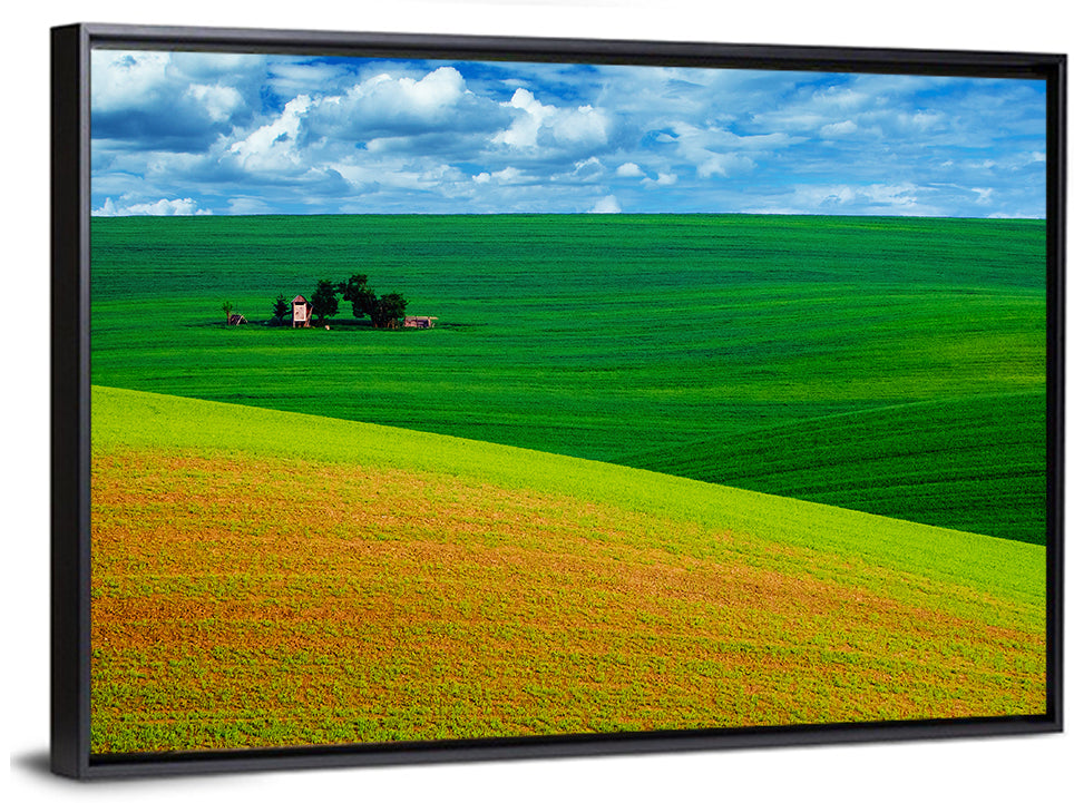 Green Fields Wall Art