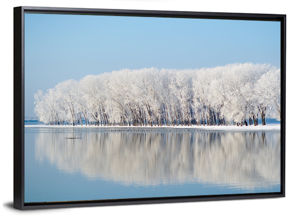 Frost Covered Lakeside Trees Wall Art
