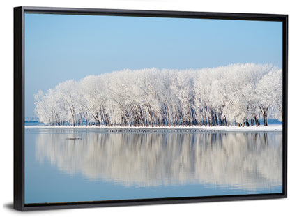 Frost Covered Lakeside Trees Wall Art