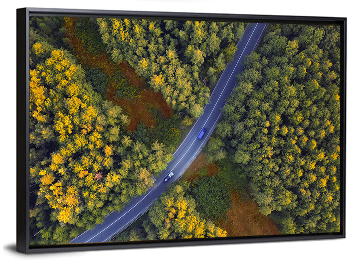 Aerial Autumn Forest Road Wall Art as a framed canvas