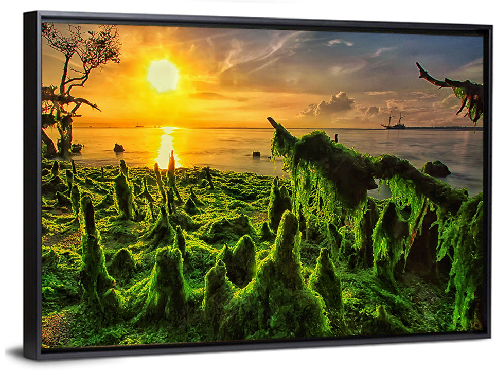 Mangrove Roots at Sunset Wall Art