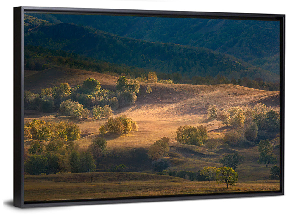 Bashang Plateau Golden Hour Wall Art