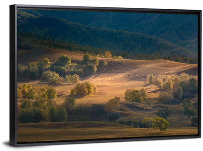 Bashang Plateau Golden Hour Wall Art