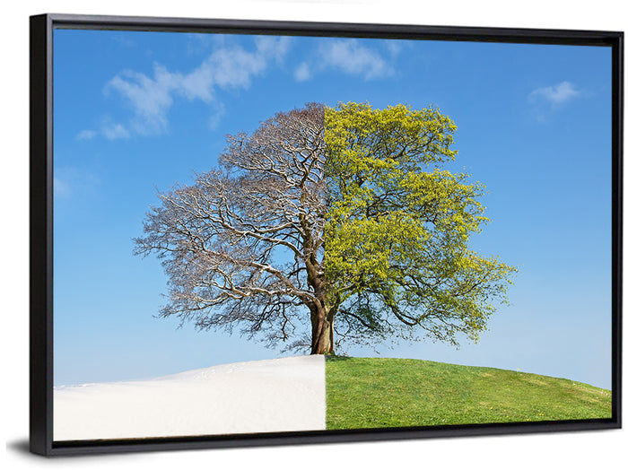 Split Season Tree Landscape Wall Art as a framed canvas