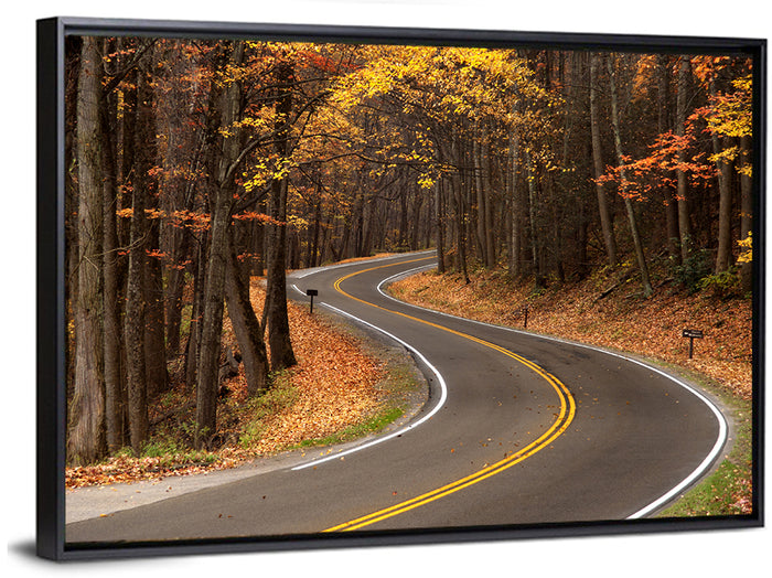 S-curve Road Through Autumn Forest Wall Art as a framed canvas