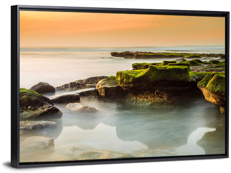 Mossy Rocky Coastline at Golden Hour Wall Art