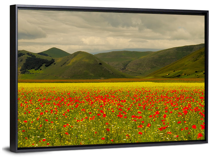 Castelluccio Wildflower Meadow Wall Art as a framed canvas